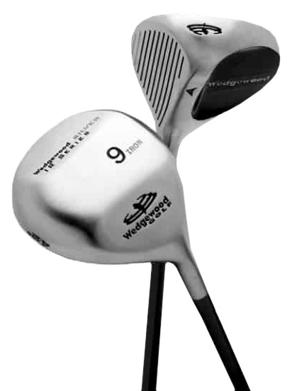 Two Silver IR Series golf clubs